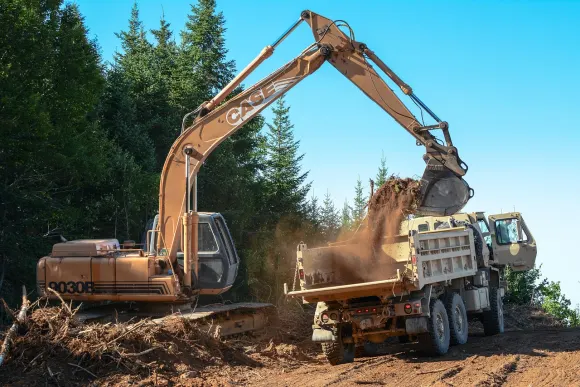 Wombet Kazino Atbalsts